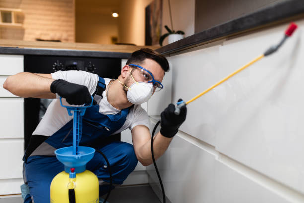 Best Residential Pest Control  in Central Falls, RI
