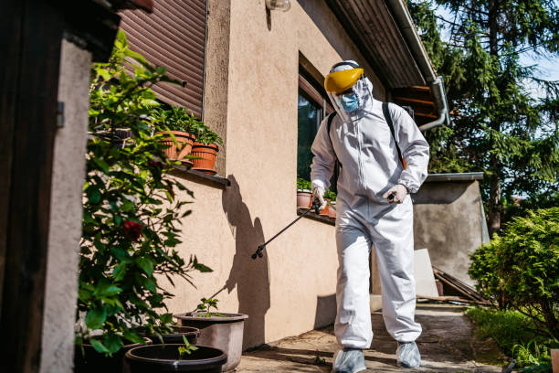 Best Pest Control Near Me  in Central Falls, RI