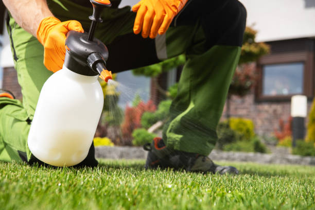 Best Pest Prevention Services  in Central Falls, RI