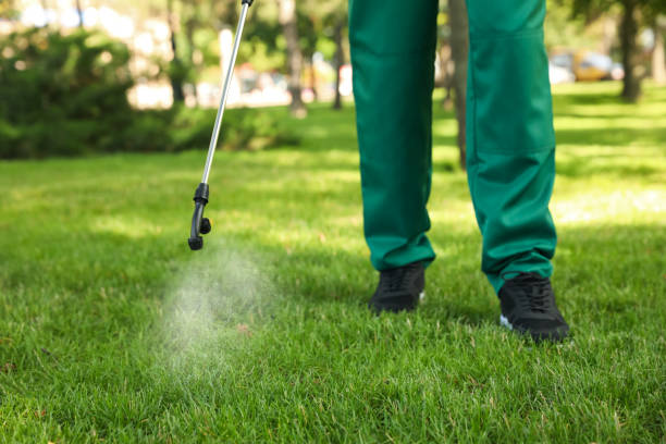 Best Best Pest Control Companies  in Central Falls, RI