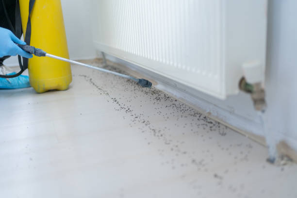 Best Best Pest Control Companies  in Central Falls, RI